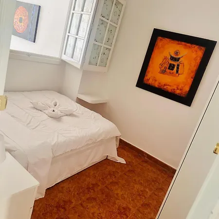 公寓 Campos Vasallo 阿利坎特