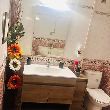 Campos Vasallo 公寓 阿利坎特